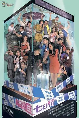 七日禁锢下的爱与笑：深度解析《隔离七日情国语》