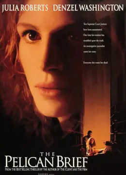 《塘鹅暗杀令》：法学院高材生破解惊天政治阴谋