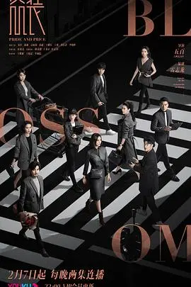 《盛装》：时尚圈的浮华与暗流，一场关于野心、背叛与救赎的视觉盛宴