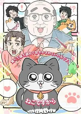 《转生成猫的大叔》：当咸鱼大叔化身软萌喵星人，爆笑异世界冒险就此开启！